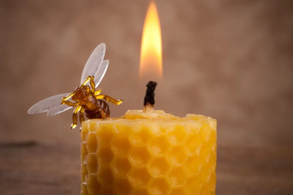 What are Beeswax Candles? DIY products 101