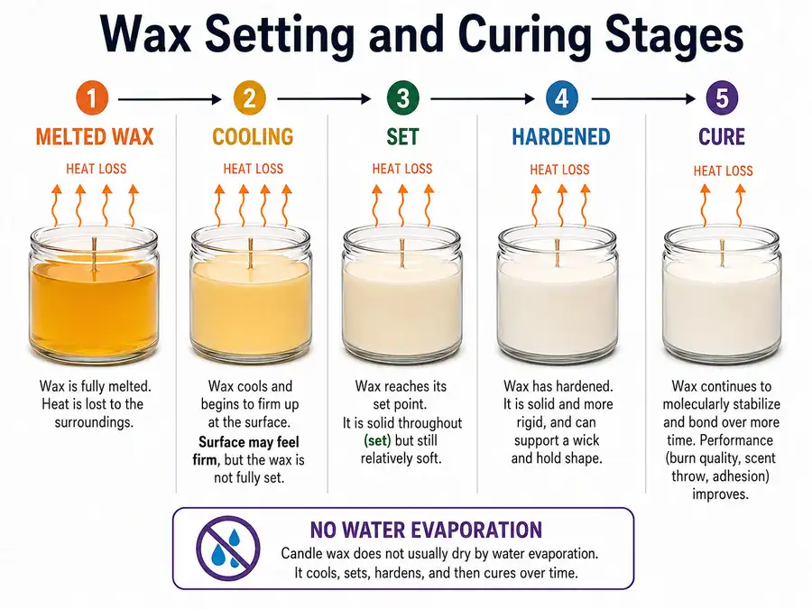 wax setting and curing stages